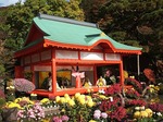 二本松菊人形展nihonmatu chrysanthemum a doll10